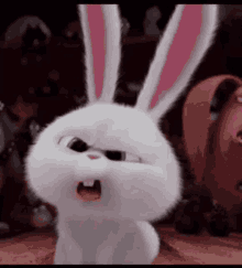 HahaRabbit